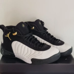 Nike Jordan jumpman pro - Fick dem av en kompis och jag vill inte ha dem så säljer dem nu. Dem är i bra skick 8/10