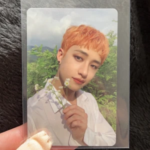 Bang Chan PC - Försöker sälja av mina sista pc som jag inte samlar på. Bang Chan pc från noeasy Limited PC, det är officiellt och i fint skick.