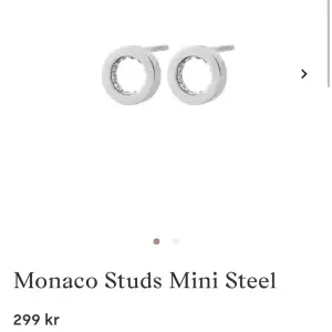 Edblad Monaco mini studs örhängen☺️(lånade bilder, pm för mer info eller frågor🥰)