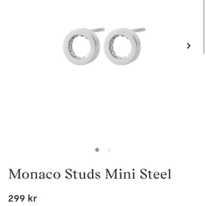 Örhängen  - Edblad Monaco mini studs örhängen☺️(lånade bilder, pm för mer info eller frågor🥰)