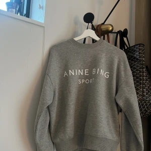 Anine bing tröja - Anine bing tröja köpt för 2500. Nyskick. Storlek S köparen står för frakten.