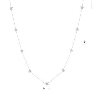 Edblad halsband - Edlbad halsband, testat 2 gånger. 