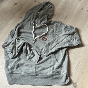 Hoodie Zadig & Voltaire  - Grå luvtröja från Zadig & Voltaire  Använd men i mycket bra skick