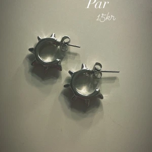 Örhängen - Aldrig använda, jätte bra skick💗 köpte för 79 och säljer för 15💗