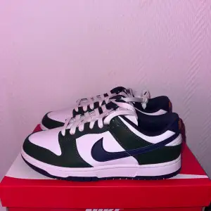 Nike Grön & Mörkblå.  Helt nya och aldrig användt dessa skor.  Köpte för 1500kr säljer för 1250.  Storlek 41