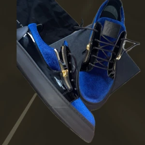 Giuseppe Zanotti skor - Tja. Säljer ett par sprillans nya Zanottis som är perfekta inför kommande fester. Storlek 45, nypris: 7999kr, mitt pris: 2599. All og medföljer! Otroligt grymma skor att klubba med. Priset går att diskutera vid en snabb affär!