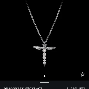 Dragonfly halsband maria nilsdotter silver - I toppskick ,box medföljer 🌸👌🏽kan mötas upp eller posta vilket som! 