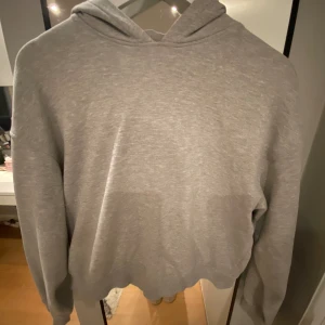 Grå Hoodie  - Fin grå Hoodie från H&M. Den är i väldigt fint skick😍