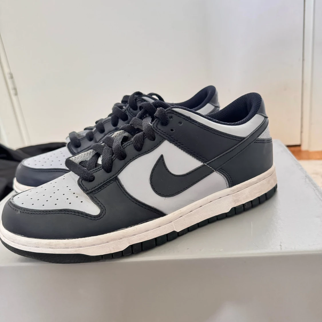 Nike Dunk - Georgetown 