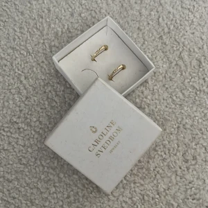 supersöta örhängen - Superfina örhängen i guld från carolina svedbom perfekt som present till student mm🥰🥰