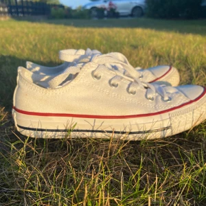 Converse - Ett par superfina vita låga converse i toppenskick då de nästan aldrig är använda🤩💗 Hör av dig vid frågor!! Priset kan diskuteras vid snabb affär!!! (Samma dag)