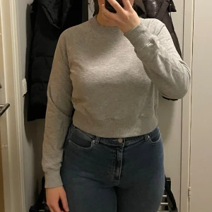 Grå tröja - Grå tröja, bra skick (jag väger 70kg o är 1,7m lång sä den är lite kort på mig).