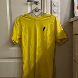 Peak performance T-shirt - Bara testad  aldrig använd så är i bra skick storlek medium  Pris kan diskuteras 