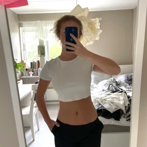 T-shirt - Kort T-shirt, sömmen har gått upp lite i ryggen men går enkelt att fixa!