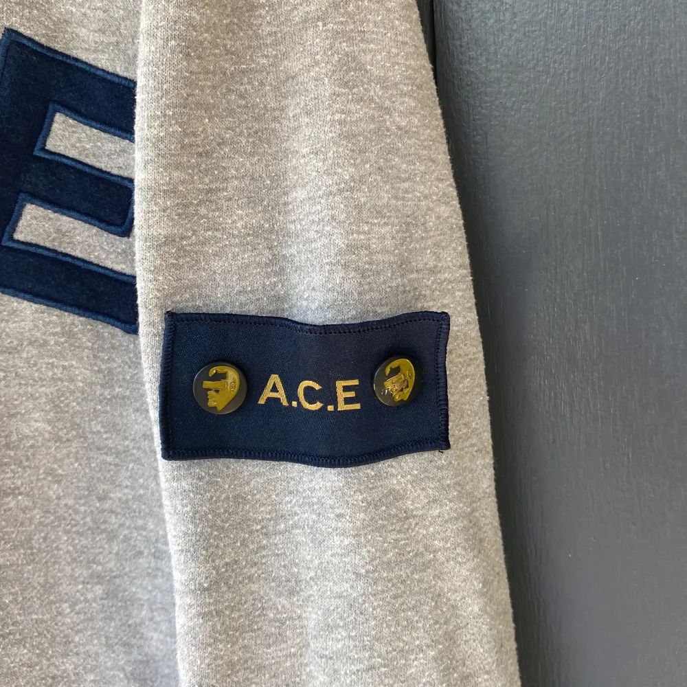 En bekväm grå hoodie från A.C.E med texten 'COLLECTIVE EVOLUTION' på framsidan. Hoodien har långa ärmar och ribbstickade muddar vid ärmslut och nederkant. Det finns även en detalj med texten 'A.C.E' på ärmen.. Tröjor & Koftor.