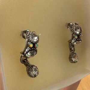 Örhänge  - Örhänge som glittrar ✨ långtifrån så fin.. passar alla