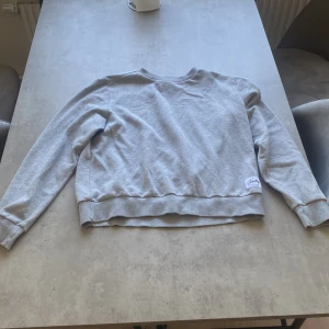 Sweatshirt - Sweatshirt  