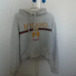 Hoodie - Säljer en hoodie i strl L från BIKBOK. Den är mer som i strl M, men fråga gärna om måtten! Den är i jätte fint skick. Någon liten svart fläck som ni kan se på sista bilden. Säljer den för 80kr + frakt!
