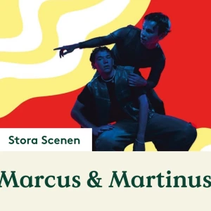 M&M - Jag säljer 1 konsertbiljett till Marcus och Martinus på Liseberg den 30 maj.  (biljetterna är för övrigt slutsålda🥰)