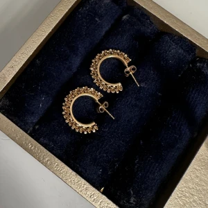 Edblad örhängen  - Ett par Edblad örhängen som knappt är andvända, fick i present men vill längre inte ha dom. Kom privat för mer frågor💗💗