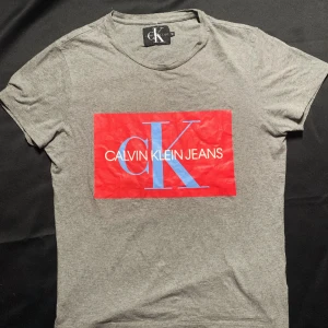 Calvin Klein Jeans T-Shirt - CK Jeans T-shirt i bra skick.