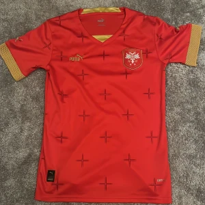 Serbien landslagströja - Tja! Säljer denna Serbiska landslags tröjan. Den är använd vid ett fåtal tillfällen och skicket är så gott som nytt (9/10) 