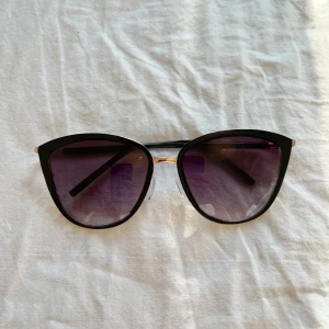 Solglasögon  - Tror de är köpta från Mango