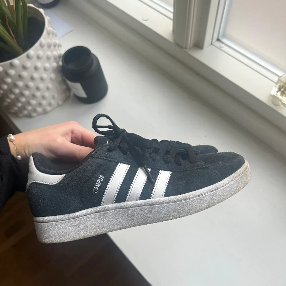 Adidas campus skor strl 38. Inte använda mycket alls! Slutsålda.. Skor.