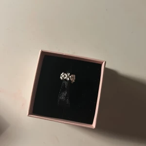 En jättefin Pandora berlock - En berlock till ett Pandora armband som är jättefint❤️