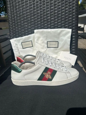 Gucci Ace Bee Skor - Gucci Ace Bee Snakers | Innersula= 27,5 cm |Skick: 8,5 /10 | Nypris 9000  kr |  Dustbag och kortet ingår inte | Skriv vid minsta fundering | Skickas 24 h inom köp |
