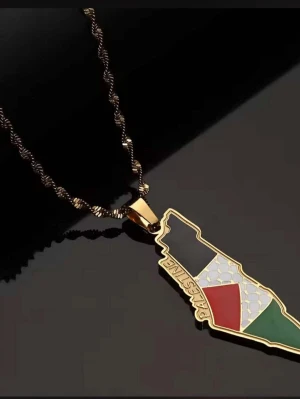 Guldhalsband med Palestina-hänge - Unikt halsband med ett hänge i form av Palestina, dekorerat i svart, vitt, rött och grönt med guldfärgade detaljer och texten 'PALESTINE' längs kanten. Kedjan är tvinnad och guldfärgad, vilket ger en exklusiv känsla.