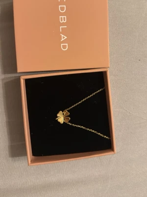 Guldarmband med fyrklöver Edblad - Snyggt guldpläterat armband från Edblad med ett hänge i form av en fyrklöver. Kedjan är tunn och elegant, och fyrklövern har en stilren, blank finish. Perfekt för dig som gillar minimalistiska smycken med en liten twist.