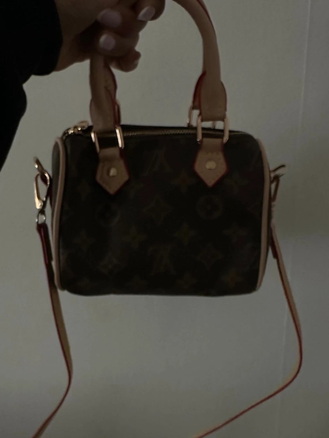  Monogram Mini Speedy - 1