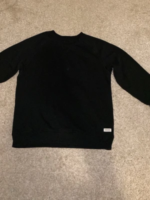 Svart sweatshirt - En stilren svart sweatshirt med rund halsringning och diskret logotypdetalj vid nederkanten. Tröjan har lång ärm och klassisk passform, perfekt för en avslappnad look.