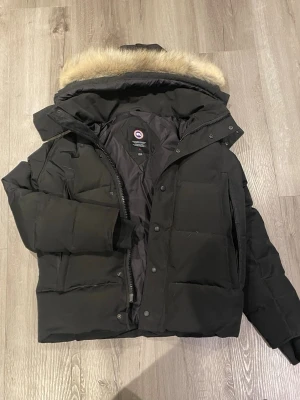 Canada goose - E xs passar s-m också 