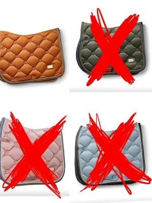 Fyra färgglada schabrak till häst - Säljer mina  Equestrian Stockholm schabrak då dom inte kommer till användning. TVÄTTAS INNAN KÖP!! MAN FÅR EGNA BILDER PÅ DOM VID INTRESSE! Grönt Hoppschabrak strl Full: Fint skick och är också mindre användt. Nypris 899, mitt pris 400. Orange Hoppschabrak strl Full: Jätte fint skick och är använt max 5 gånger. Nypris 1500
