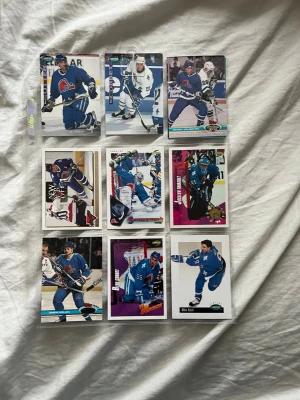 Hockeykort Quebec Nordiques samling - Säljer en samling hockeykort med spelare från Quebec Nordiques. Korten har färgstarka motiv och visar olika spelare i action på isen. Perfekt för dig som gillar hockeynostalgi och samlar på sportkort. Korten ligger i plastficka och har olika designer och färger. Ungefär släppt vid 1990