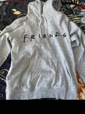 Grå Friends hoodie - Snygg grå hoodie med Friends-tryck framtill och färgglada prickar mellan bokstäverna. Klassisk känguruficka och luva. Perfekt för dig som älskar tv-serien och hoodies. 