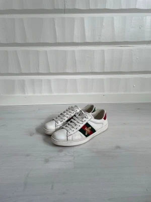 Gucci ace skor  - Gucci ace skor storlek 41| nypris runt 7000kr mitt pris 2199kr| har endast skorna!| Har du frågor är det bara att skriva.