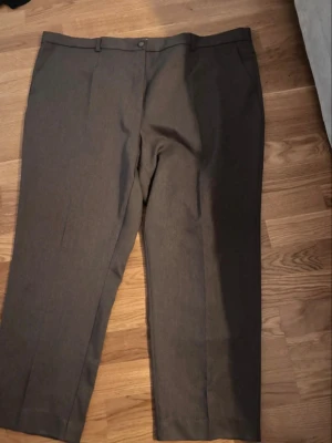 Bruna kostymbyxor från B.Women - Snygga bruna kostymbyxor från B.Women by Brandtex. Klassisk rak passform med hällor för skärp och sidofickor. Perfekta för en stilren look. Materialet känns mjukt och har en lätt glans.