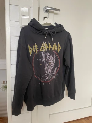 Hoodie med tryck - Mörk grå hoodie prydd med Def Leppard-tryck på bröstet. Använd endast ett par gånger så den är i väldigt bra skick🪩