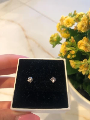 Silvriga örhängen med glittrande stenar - Ett par stilrena silvriga örhängen med runda, glittrande stenar i klassisk design. Perfekta för dig som gillar en enkel men elegant look. Kommer i en svart ask. Är öppen för prisförslag😊