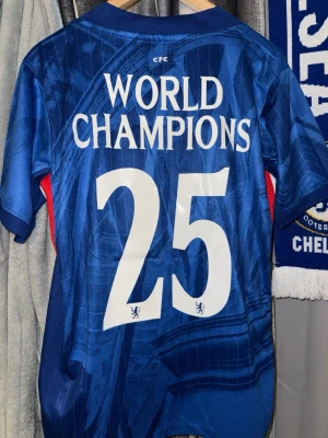 Chelsea FC tröja - En väldigt fin och speciell Chelsea FC tröja med World champions på ryggen, storlek M!