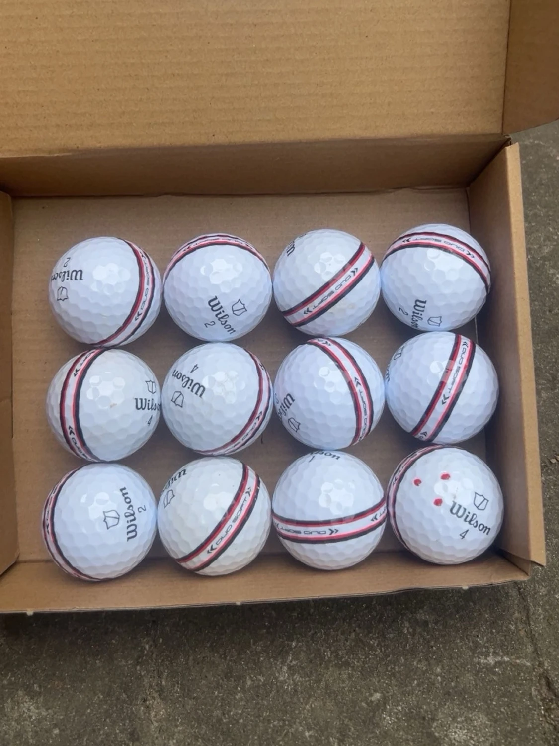 Wilson Staff stripe 12-pack