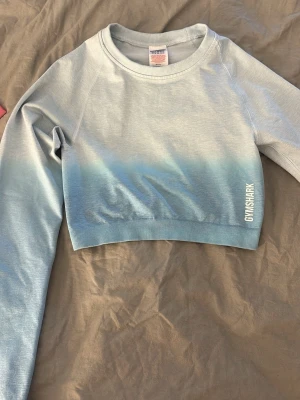 Ljusblå croppad tröja från Gymshark - Snygg ljusblå croppad långärmad tröja från Gymshark. Tröjan har en cool ombre-effekt från ljusgrått till blått och är tillverkad i mjuk bomullsmix. Perfekt för träning eller chill. Diskret logga på sidan och rynkdetalj bak.