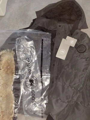 Svart dunjacka från Canada Goose - Säljer en svart dunjacka från Canada Goose med avtagbar huva och pälsdetalj. Jackan har klassisk patch-logga på bröstet och stängs med både dragkedja och knappar. Perfekt för kalla vinterdagar och riktigt snygg streetstil.