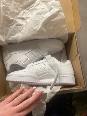Vita Adidas sneakers med kardborre - Säljer ett par helvita Adidas sneakers med klassiska tre ränder på sidan och kardborreband över snörningen. Skorna är låga och har en stilren design i läder. Perfekta för dig som gillar en clean och sportig look. Helt nya!!!!! Kostade 1200kr