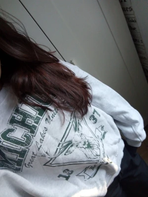Grå Michigan sweatshirt med tryck - Säljer en oversized grå sweatshirt med grönt Michigan-tryck och motiv av en hjort på framsidan. Perfekt för en chill och sportig look.