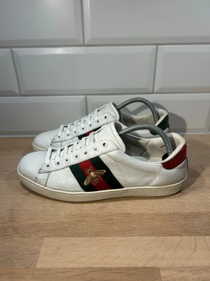 Gucci Ace - Gucci Ace i bra skick🙌🏽| Storlek 42 passar 43 | Vid frågor eller diskussion om pris är det bara att skriva ✍🏼| Frakt inom 48h📦