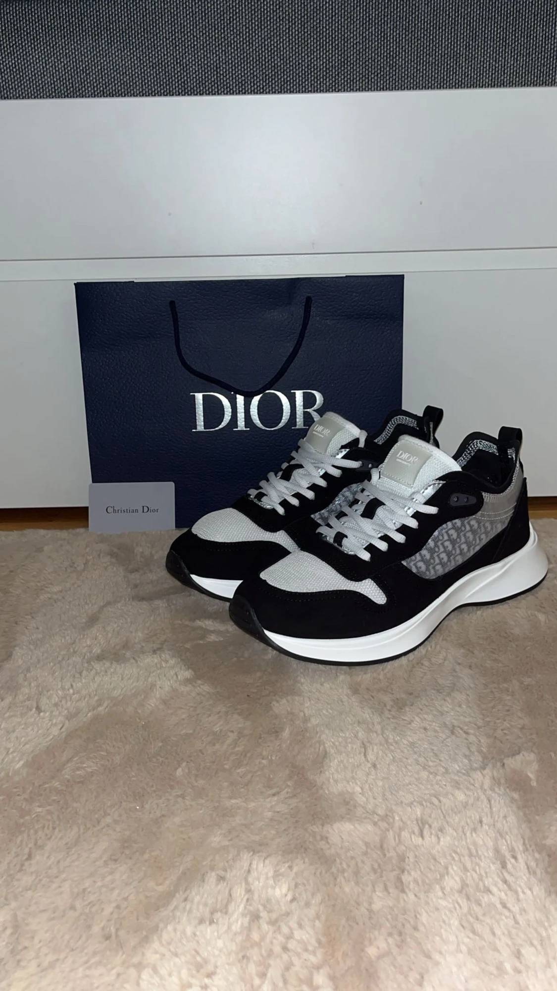 Dior b25